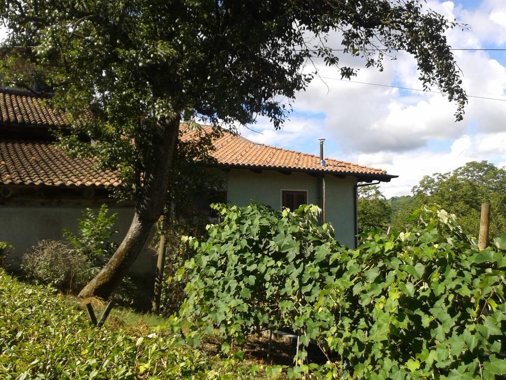 Myricae Bed & Breakfast Farigliano Eksteriør bilde