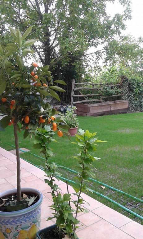Myricae Bed & Breakfast Farigliano Eksteriør bilde
